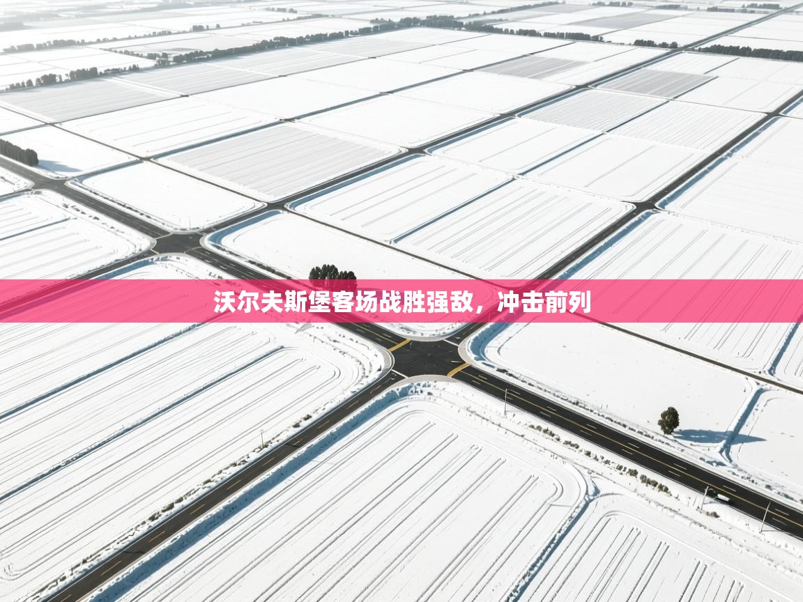 沃尔夫斯堡客场战胜强敌,冲击前列 第2张