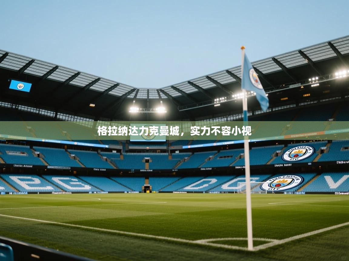 格拉纳达力克曼城,实力不容小视 第1张